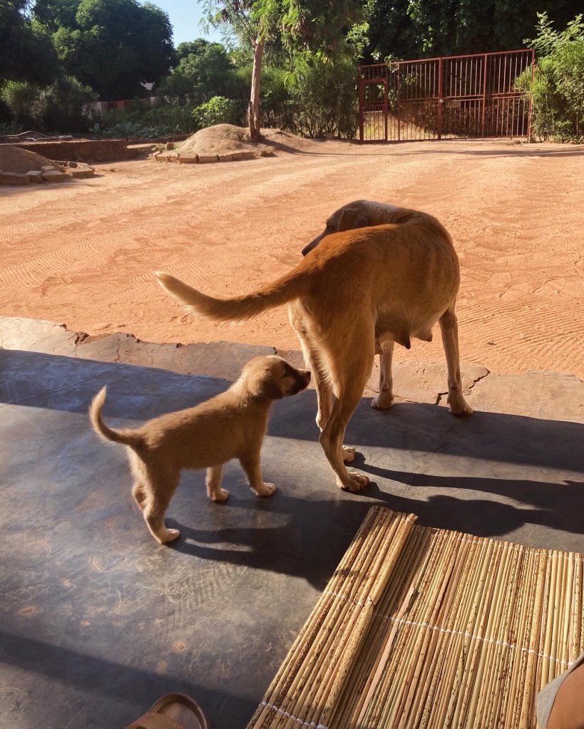 24087c17-1642-4cf6-a1b6-4e2f4b754362-1