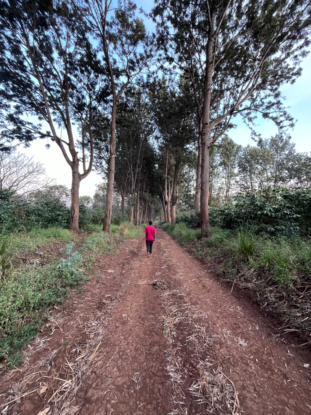 Striving to Find Balance: Work-Life Challenges in&nbsp;Tanzania